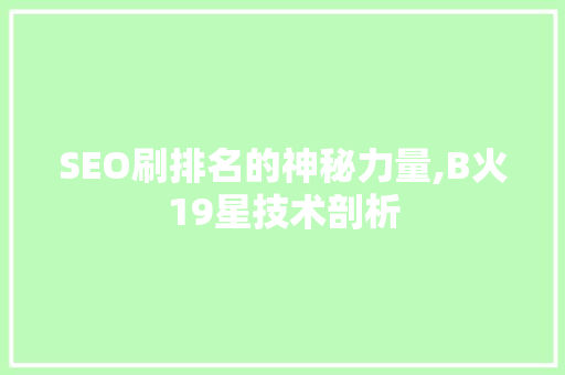 SEO刷排名的神秘力量,B火19星技术剖析