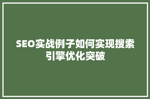 SEO实战例子如何实现搜索引擎优化突破