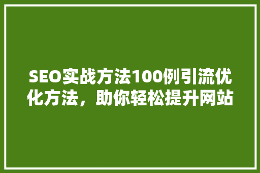 SEO实战方法100例引流优化方法，助你轻松提升网站流量