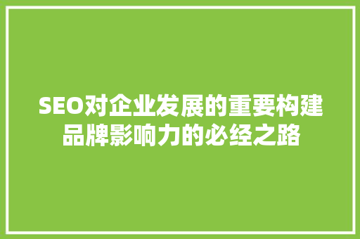 SEO对企业发展的重要构建品牌影响力的必经之路