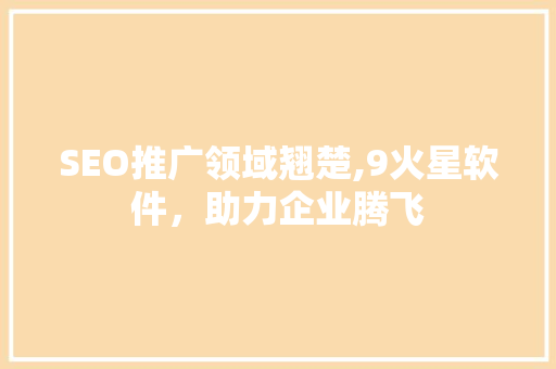 SEO推广领域翘楚,9火星软件，助力企业腾飞