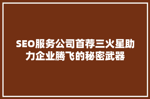 SEO服务公司首荐三火星助力企业腾飞的秘密武器