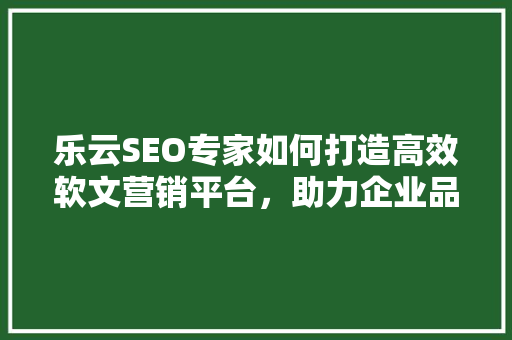 乐云SEO专家如何打造高效软文营销平台，助力企业品牌腾飞