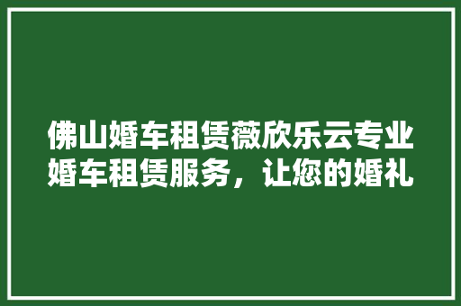 佛山婚车租赁薇欣乐云专业婚车租赁服务，让您的婚礼更加完美