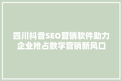 四川抖音SEO营销软件助力企业抢占数字营销新风口