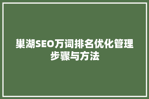 巢湖SEO万词排名优化管理步骤与方法