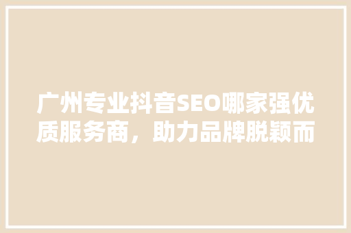 广州专业抖音SEO哪家强优质服务商，助力品牌脱颖而出  第1张