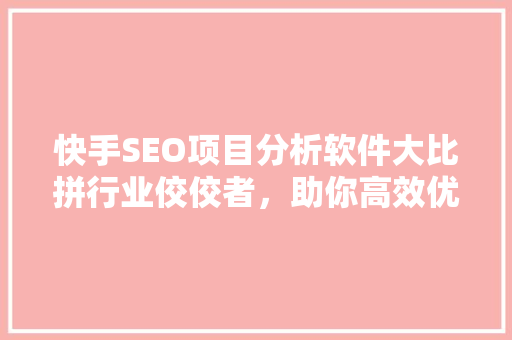 快手SEO项目分析软件大比拼行业佼佼者，助你高效优化内容