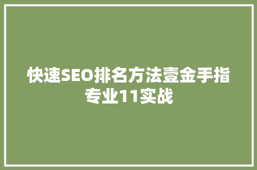 快速SEO排名方法壹金手指专业11实战