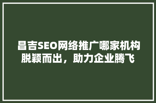昌吉SEO网络推广哪家机构脱颖而出，助力企业腾飞