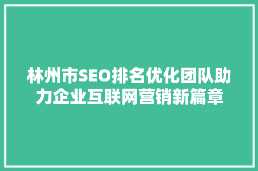 林州市SEO排名优化团队助力企业互联网营销新篇章