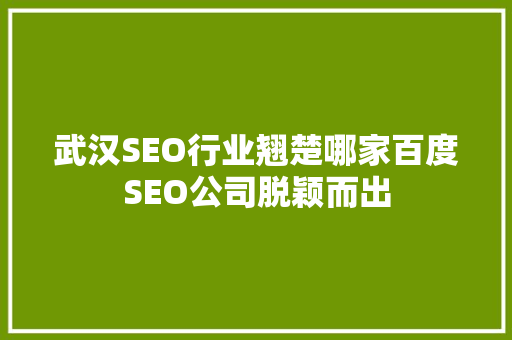 武汉SEO行业翘楚哪家百度SEO公司脱颖而出