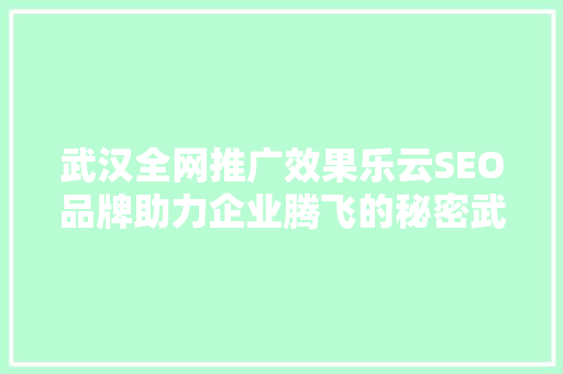 武汉全网推广效果乐云SEO品牌助力企业腾飞的秘密武器
