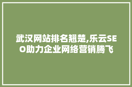 武汉网站排名翘楚,乐云SEO助力企业网络营销腾飞