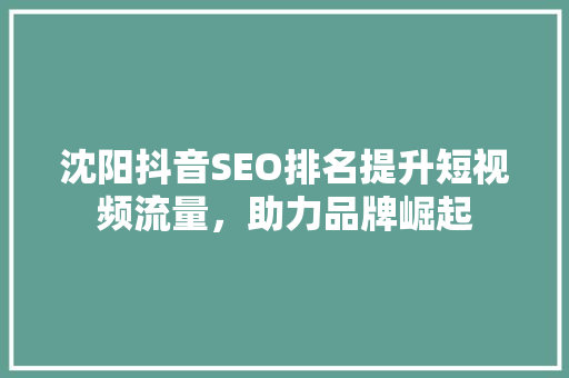 沈阳抖音SEO排名提升短视频流量，助力品牌崛起