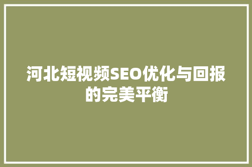 河北短视频SEO优化与回报的完美平衡