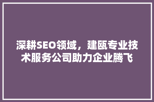 深耕SEO领域，建瓯专业技术服务公司助力企业腾飞