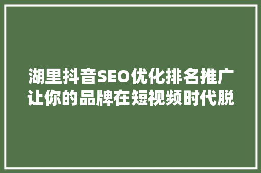 湖里抖音SEO优化排名推广让你的品牌在短视频时代脱颖而出