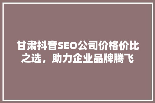 甘肃抖音SEO公司价格价比之选，助力企业品牌腾飞