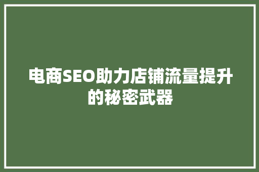 电商SEO助力店铺流量提升的秘密武器