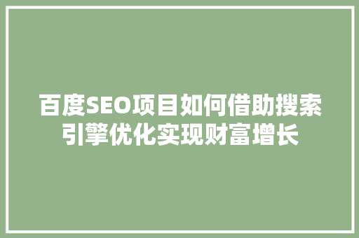 百度SEO项目如何借助搜索引擎优化实现财富增长