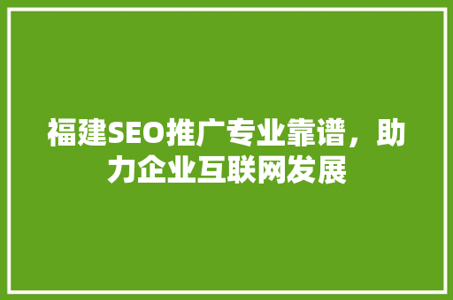 福建SEO推广专业靠谱，助力企业互联网发展