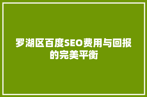 罗湖区百度SEO费用与回报的完美平衡