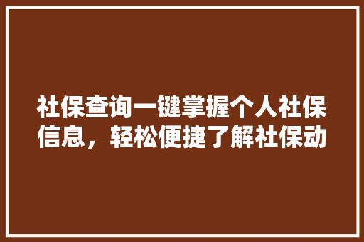 社保查询一键掌握个人社保信息，轻松便捷了解社保动态