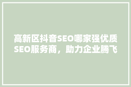 高新区抖音SEO哪家强优质SEO服务商，助力企业腾飞
