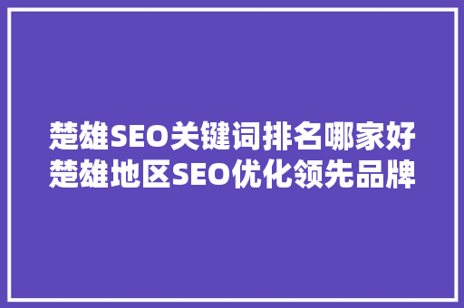 楚雄SEO关键词排名哪家好楚雄地区SEO优化领先品牌