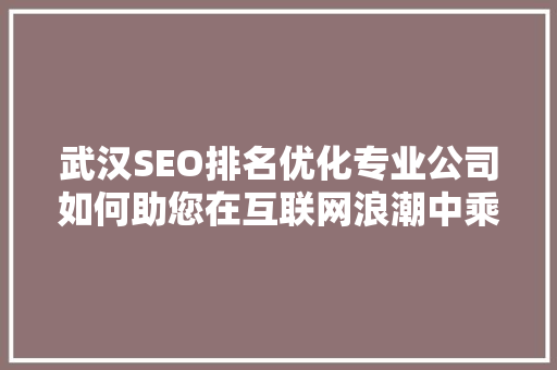 武汉SEO排名优化专业公司如何助您在互联网浪潮中乘风破浪