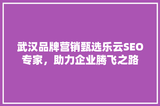 武汉品牌营销甄选乐云SEO专家，助力企业腾飞之路