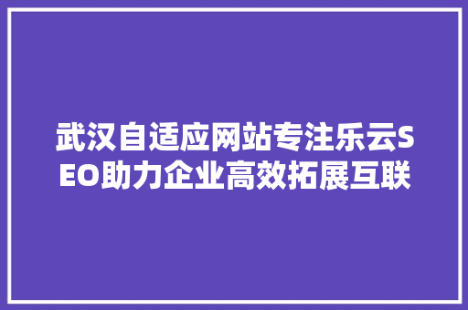 武汉自适应网站专注乐云SEO助力企业高效拓展互联网市场