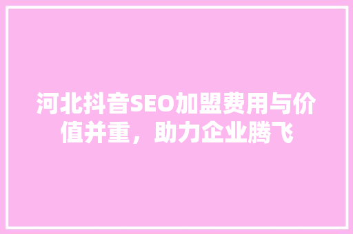 河北抖音SEO加盟费用与价值并重，助力企业腾飞