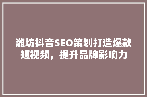 潍坊抖音SEO策划打造爆款短视频，提升品牌影响力  第1张