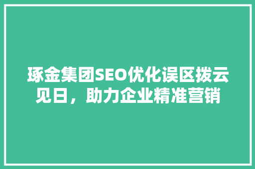 琢金集团SEO优化误区拨云见日，助力企业精准营销