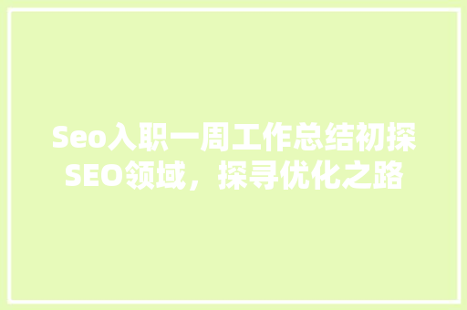Seo入职一周工作总结初探SEO领域，探寻优化之路