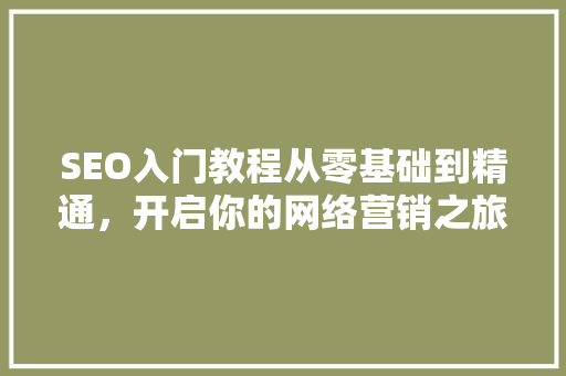 SEO入门教程从零基础到精通，开启你的网络营销之旅