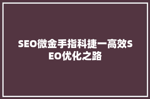 SEO微金手指科捷一高效SEO优化之路