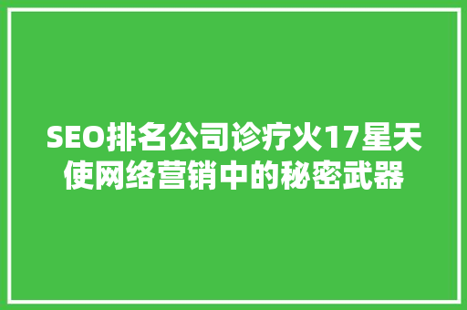 SEO排名公司诊疗火17星天使网络营销中的秘密武器