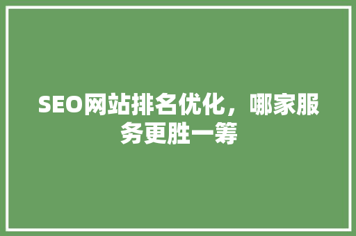 SEO网站排名优化，哪家服务更胜一筹