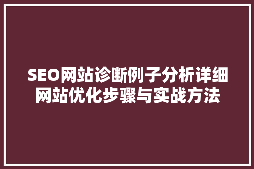 SEO网站诊断例子分析详细网站优化步骤与实战方法