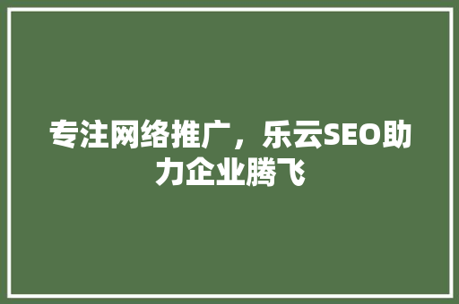 专注网络推广，乐云SEO助力企业腾飞