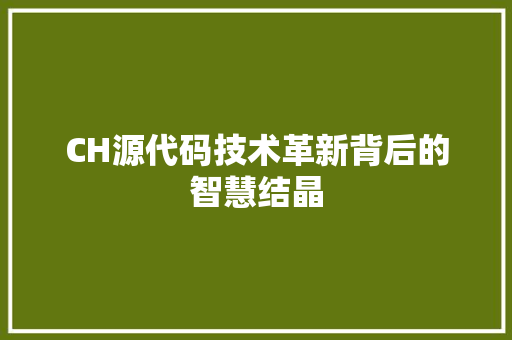 CH源代码技术革新背后的智慧结晶