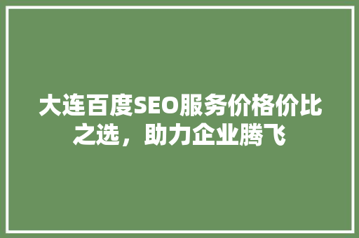 大连百度SEO服务价格价比之选，助力企业腾飞