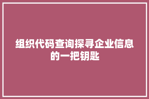 组织代码查询探寻企业信息的一把钥匙