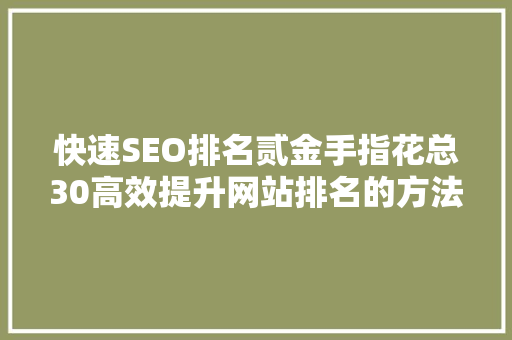 快速SEO排名贰金手指花总30高效提升网站排名的方法