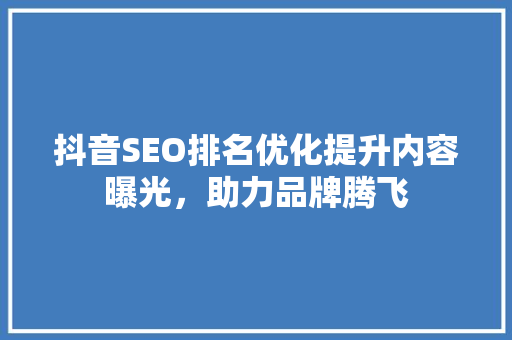 抖音SEO排名优化提升内容曝光，助力品牌腾飞