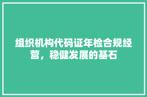 组织机构代码证年检合规经营，稳健发展的基石