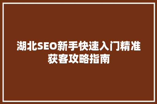 湖北SEO新手快速入门精准获客攻略指南